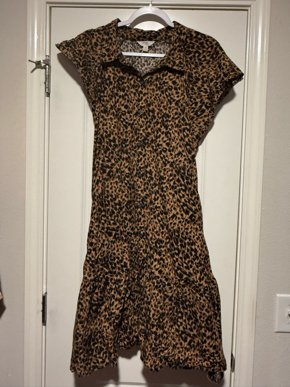 Terra & Sky Leopard Print Button down dress
